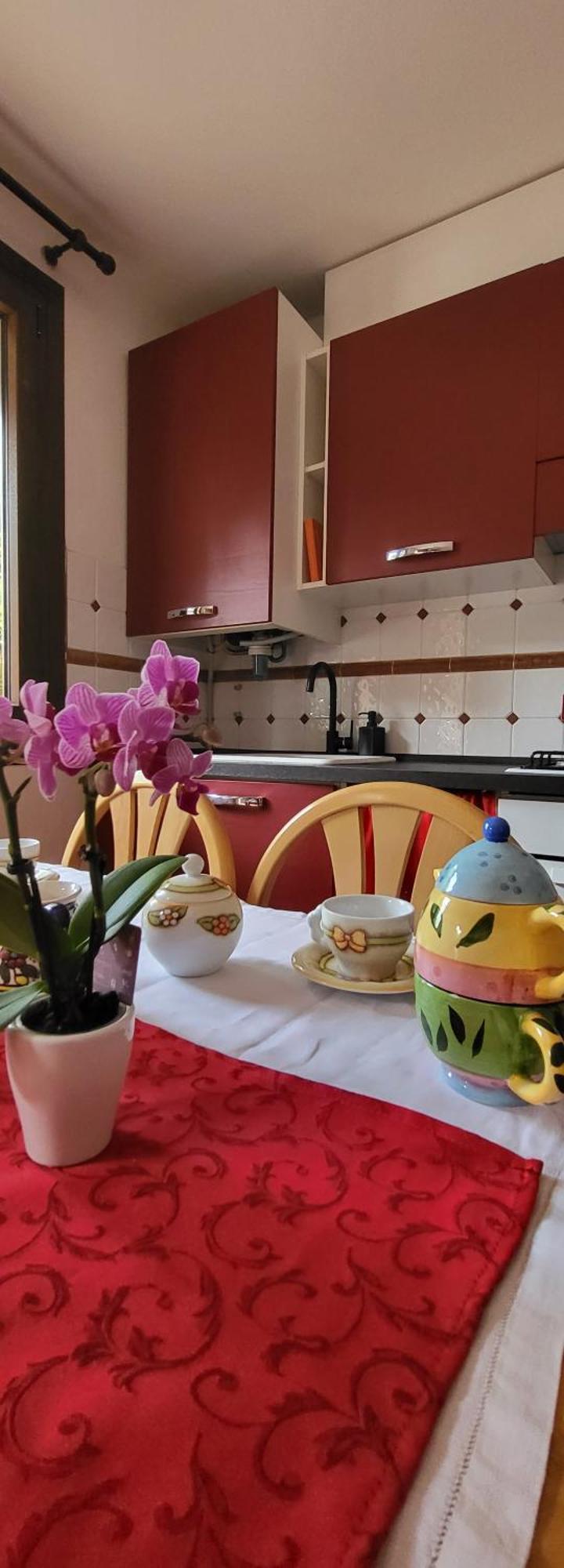 Alfa Appartamento In Centro Gorizia Buitenkant foto